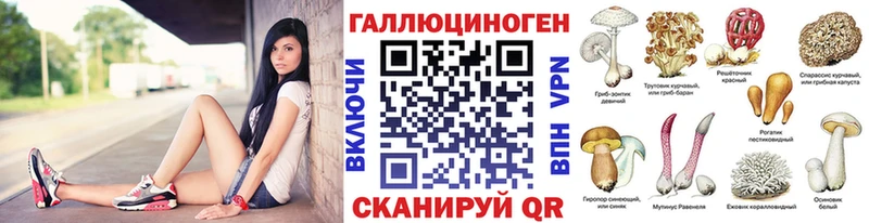 Купить  Бор  Галлюциногенные грибы Magic Shrooms 