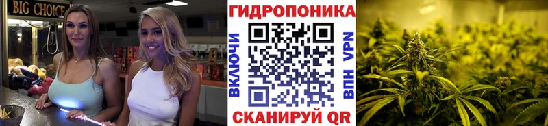 Марихуана планчик  Купить  Бор 